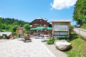  Höhengasthaus Kolmenhof an der Donauquelle  Фуртванген